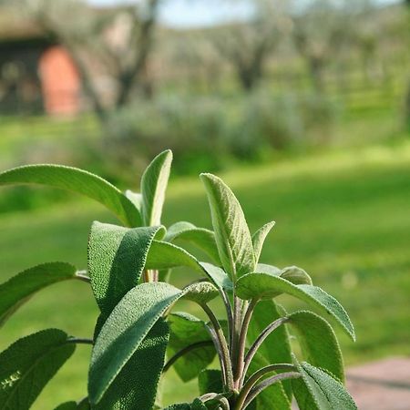 Agriturismo La Mandragola Relais 크로토네 외부 사진