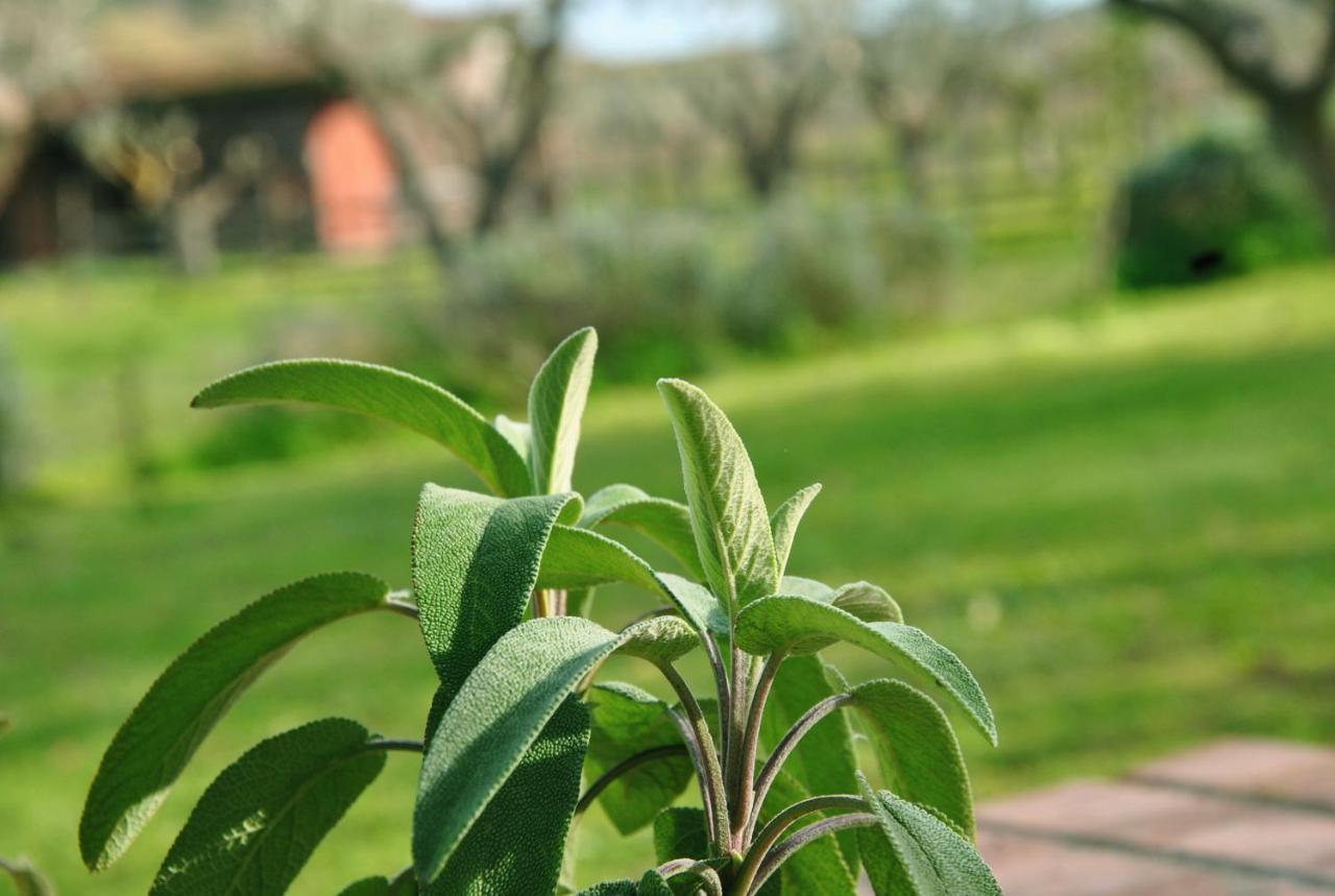 Agriturismo La Mandragola Relais 크로토네 외부 사진