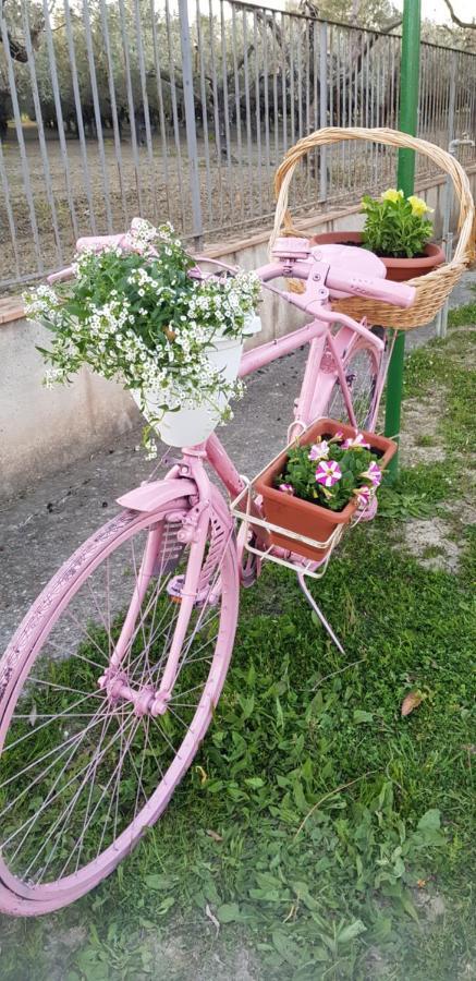 Agriturismo La Mandragola Relais 크로토네 외부 사진