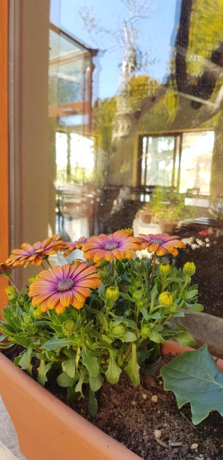 Agriturismo La Mandragola Relais 크로토네 외부 사진