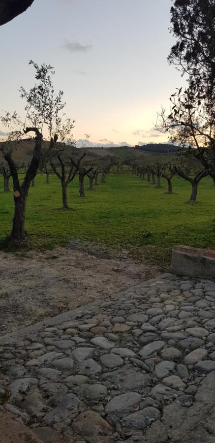 Agriturismo La Mandragola Relais 크로토네 외부 사진