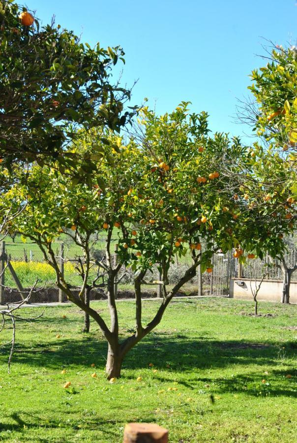 Agriturismo La Mandragola Relais 크로토네 외부 사진