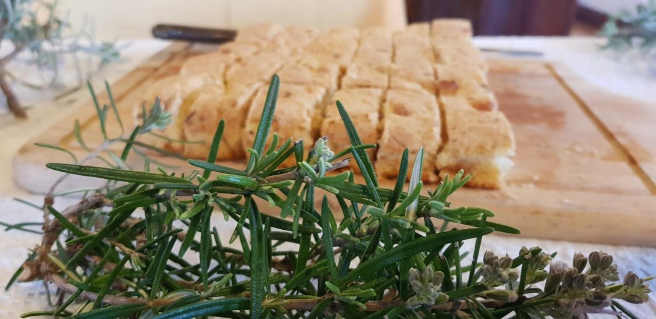 Agriturismo La Mandragola Relais 크로토네 외부 사진