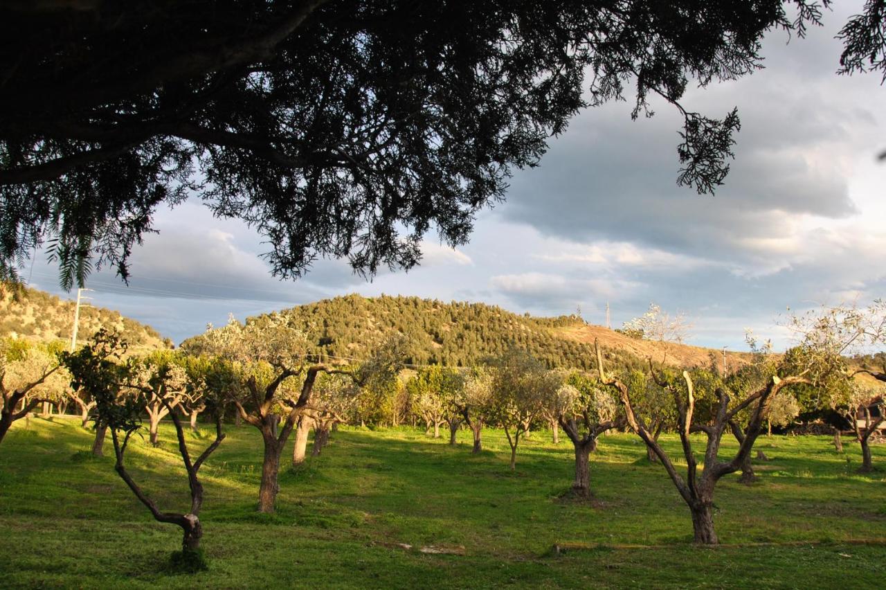 Agriturismo La Mandragola Relais 크로토네 외부 사진