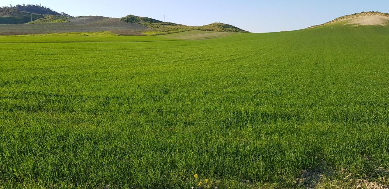 Agriturismo La Mandragola Relais 크로토네 외부 사진