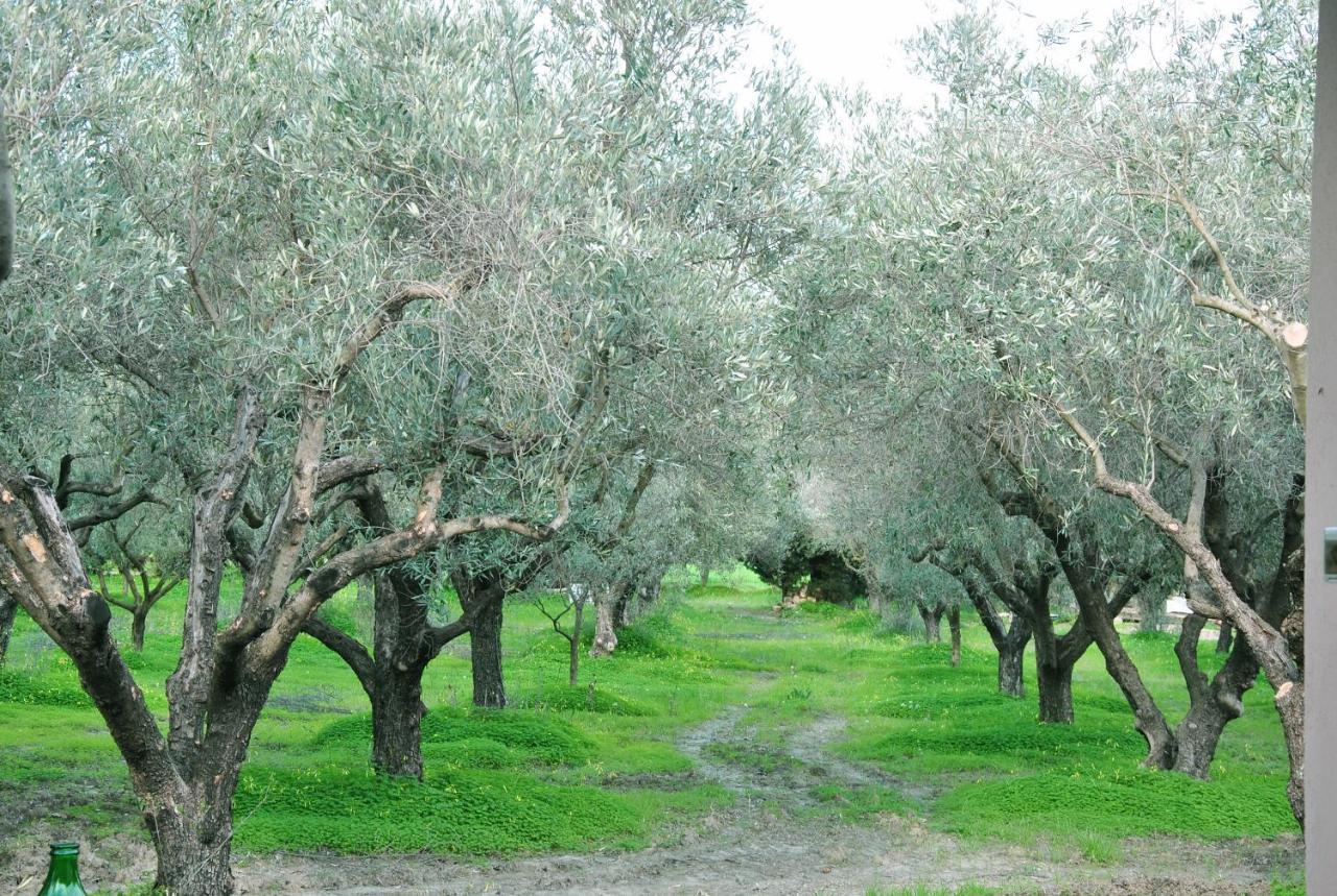 Agriturismo La Mandragola Relais 크로토네 외부 사진